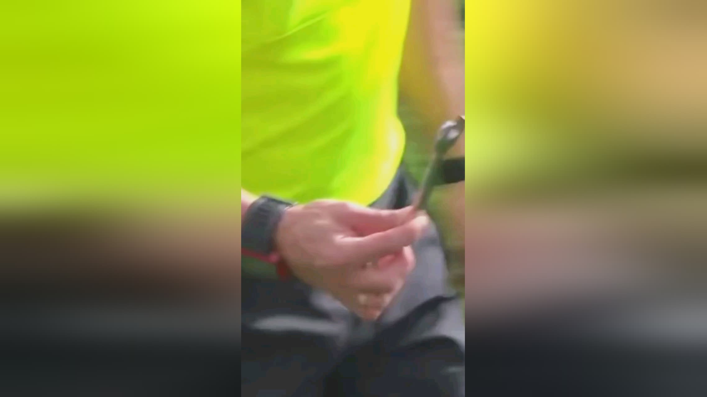 雄心英